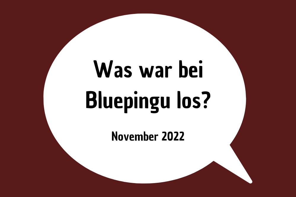 Die Bluepingu-Highlights im November