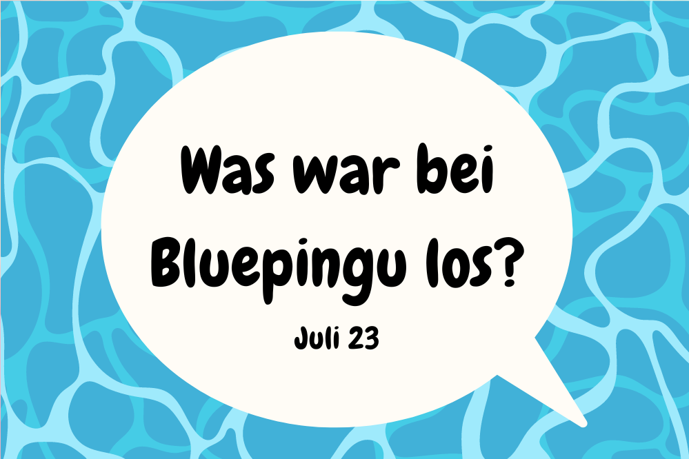 Die Bluepingu-Highlights im Juli